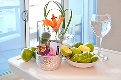 THE KWANCHAI VODKA COCKTAIL PARTY